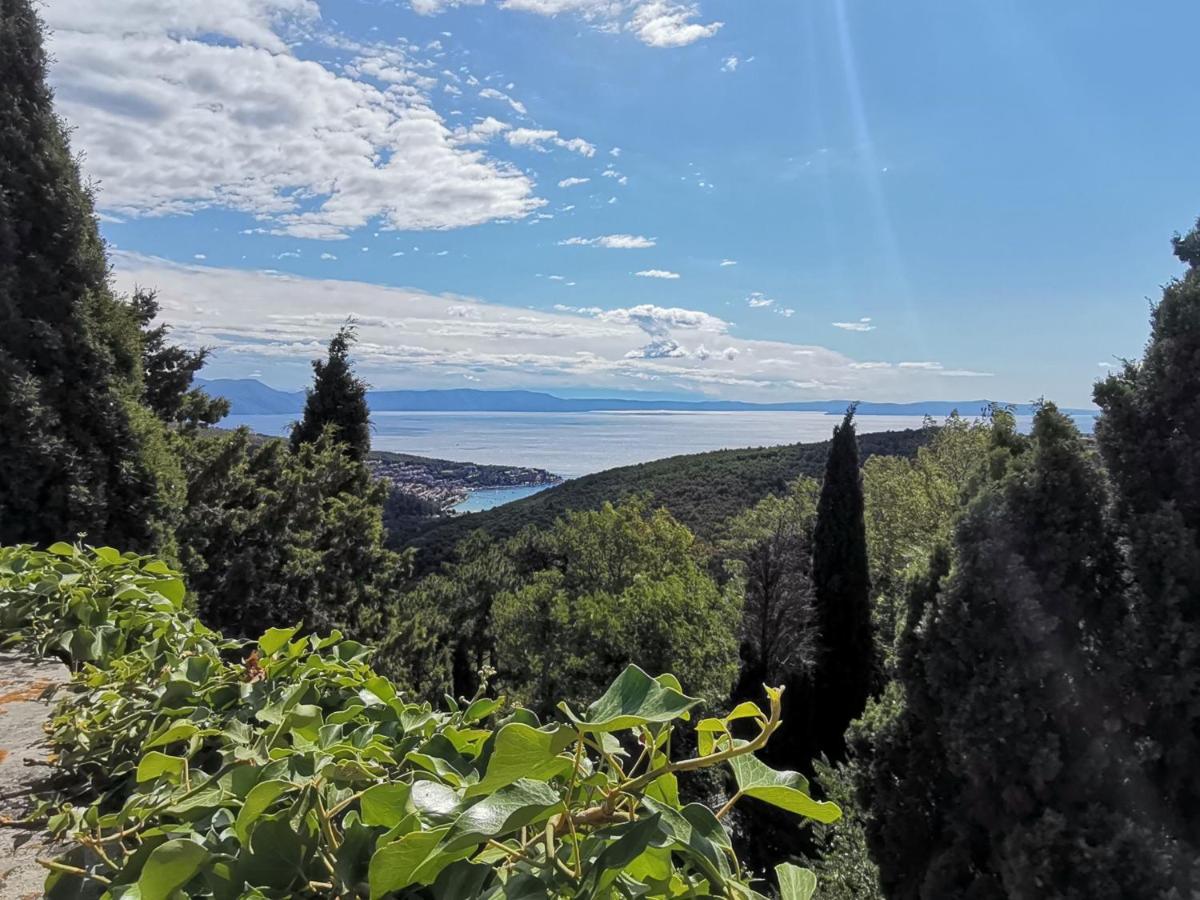 Branko With Terrace, Old Town Labin (Istria)